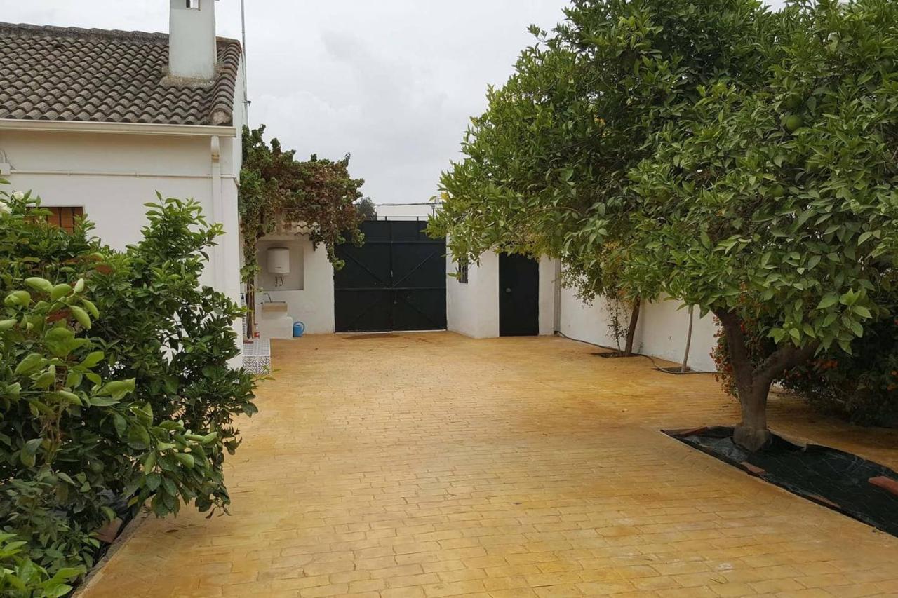 Gran Casa Rural Con Patio En Encinarejo De Cordoba Kültér fotó